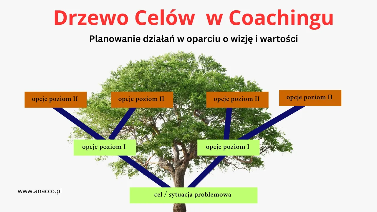 Zdjęcie Co robi coach? Poznaj najważniejsze zadania i metody coachingowe