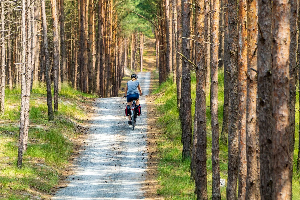 Zdjęcie Krynica Morska Gdańsk ile km? Sprawdź najkrótsze trasy podróży