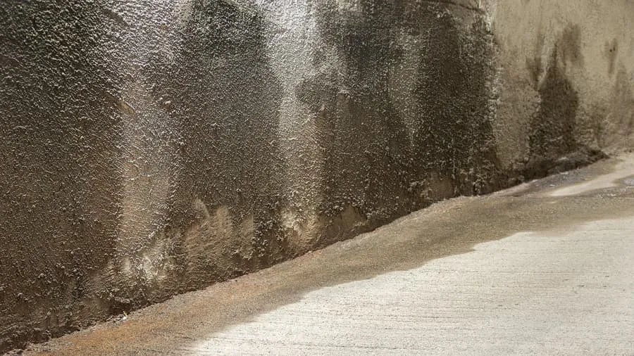 Zdjęcie Jak osuszyć teren: skuteczne metody na walkę z wilgocią w glebie