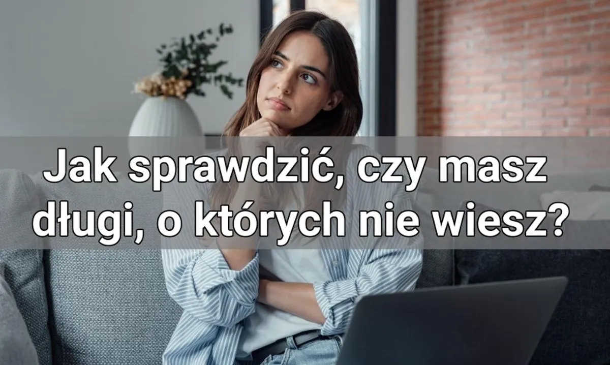 Zdjęcie Jak sprawdzić zadłużenie w chwilówkach i uniknąć finansowych kłopotów