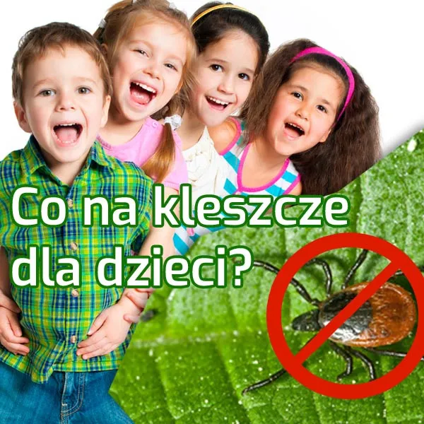 Zdjęcie Skuteczne sposoby na kleszcze dla dziecka - bezpieczne preparaty