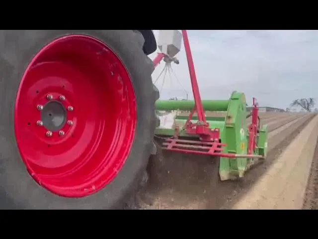 Zdjęcie Jak zrobić redliny na działce - uniknij błędów i stwórz idealne rzędy