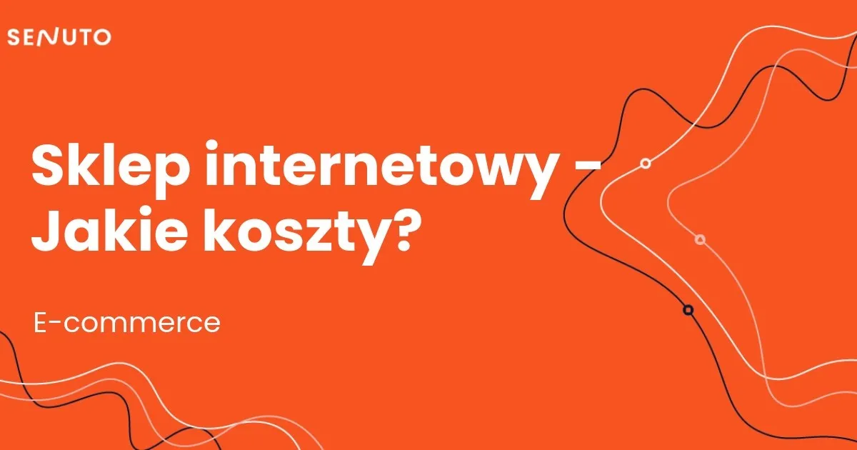 Zdjęcie Ile można zarobić na dropshippingu? Realne zyski i koszty w e-commerce