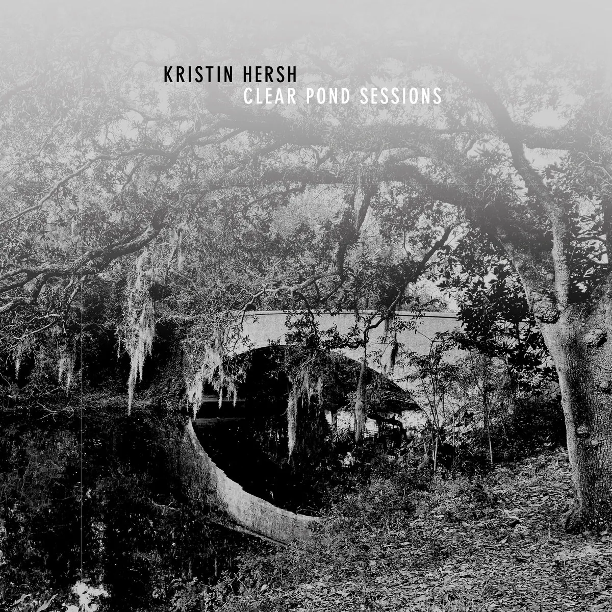 Zdjęcie La vida y música de Kristin Hersh: su carrera y álbum más reciente