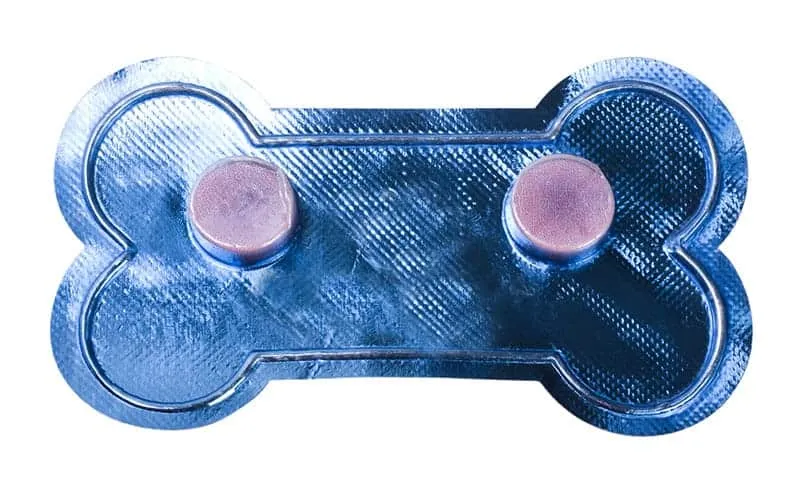 Zdjęcie Ile pyralginy dla psa 10 kg? Bezpieczne dawkowanie i skutki uboczne
