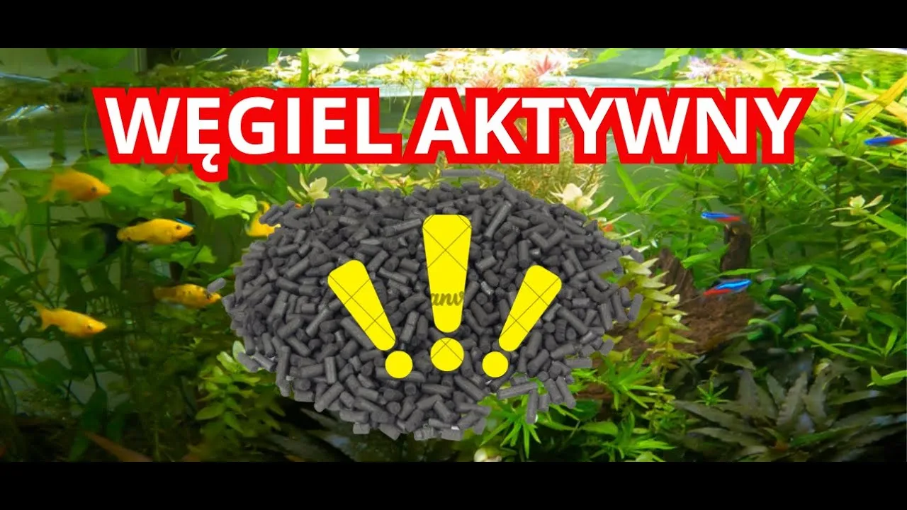 Zdjęcie Jak przygotować węgiel aktywny do akwarium, aby uniknąć problemów z wodą