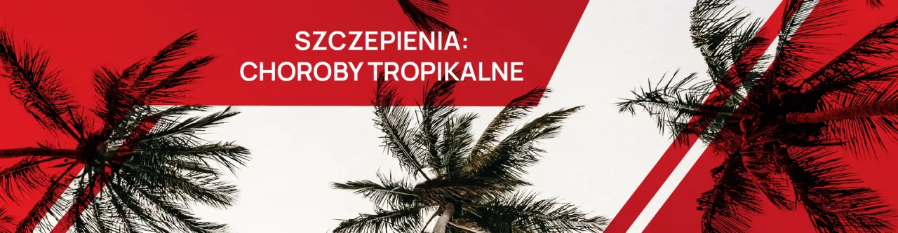 Zdjęcie Tropikalne choroby Argentyny północnej: jak się chronić podczas podróży