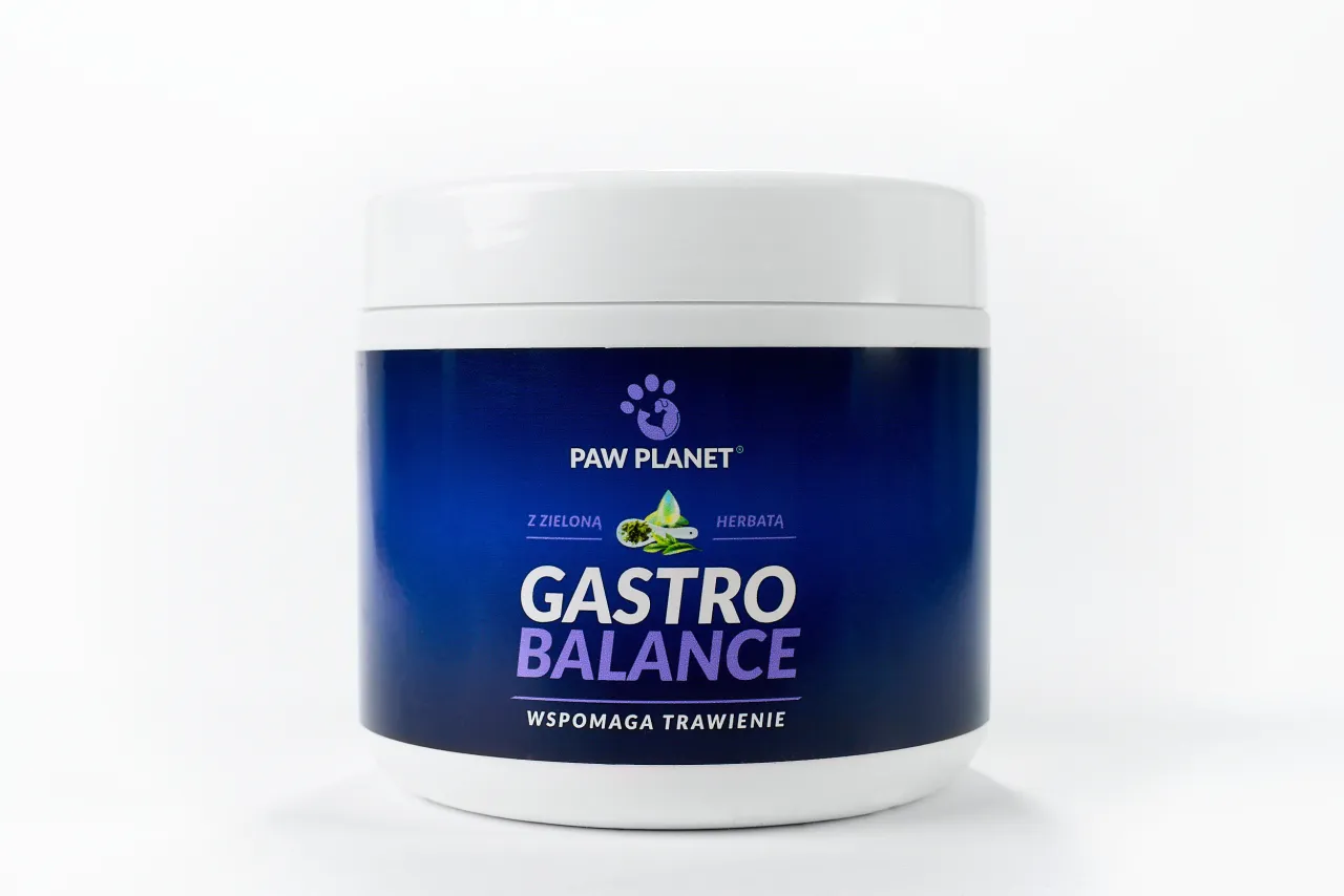 Zdjęcie Jak acid balance dla psa może pomóc w problemach trawiennych?