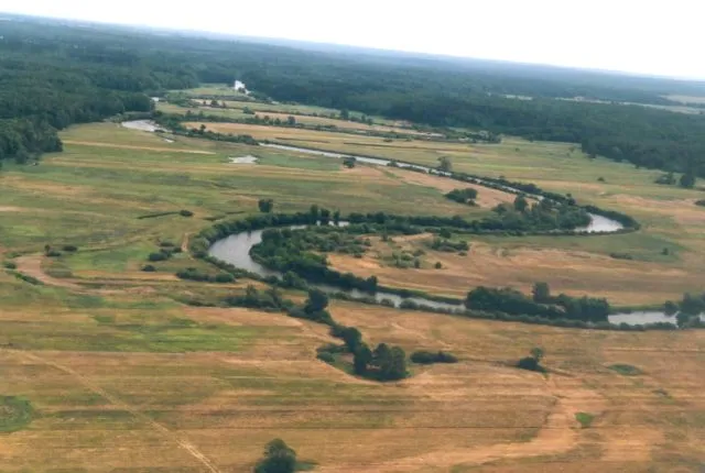 Zdjęcie Spływ kajakowy Pilicą w Spale: Trasy, Ceny i Poradnik