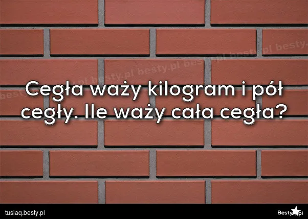Zdjęcie Ile waży cegła i dlaczego jej waga ma ogromne znaczenie w budownictwie