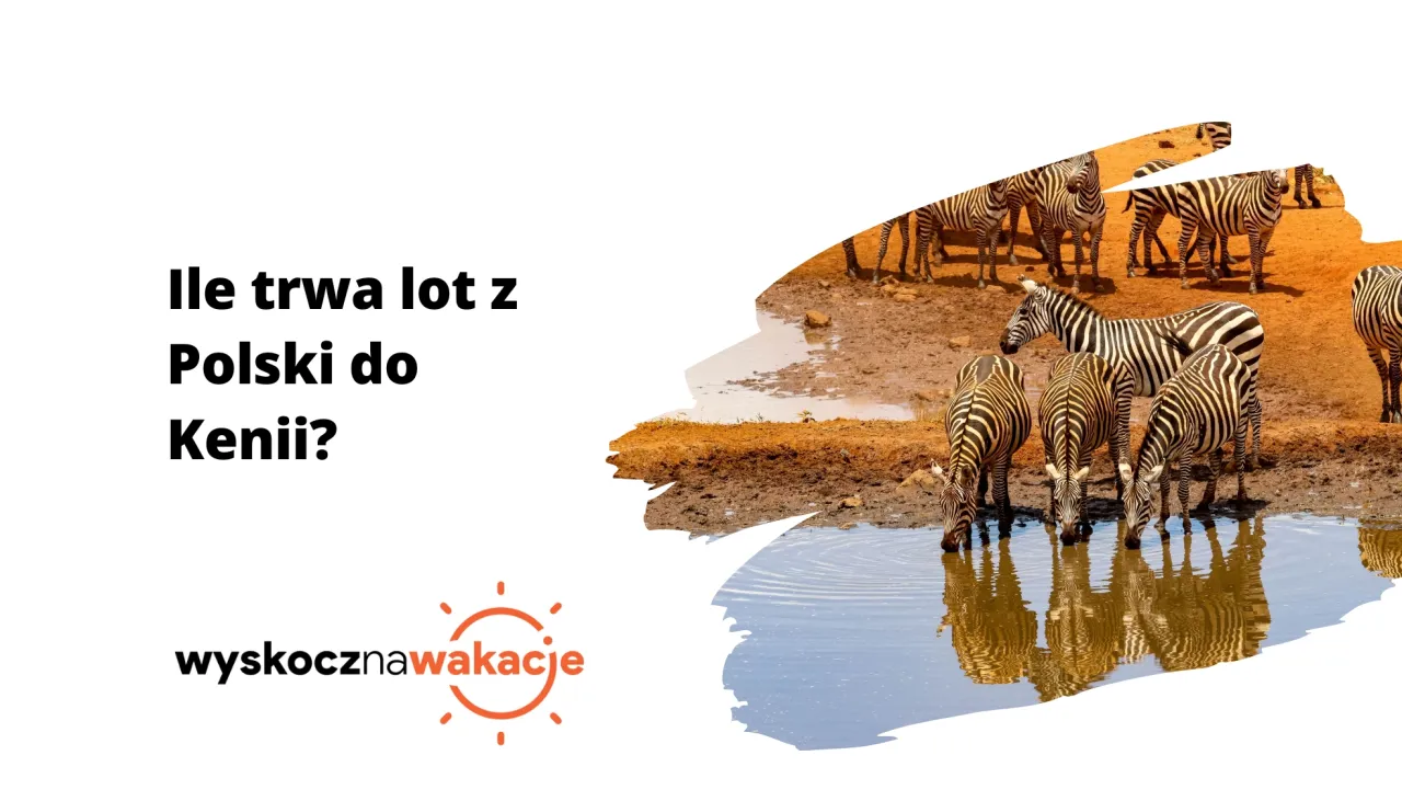 Zdjęcie Ile naprawdę kosztuje lot do Kenii? Sprawdź, jak zaoszczędzić na biletach!