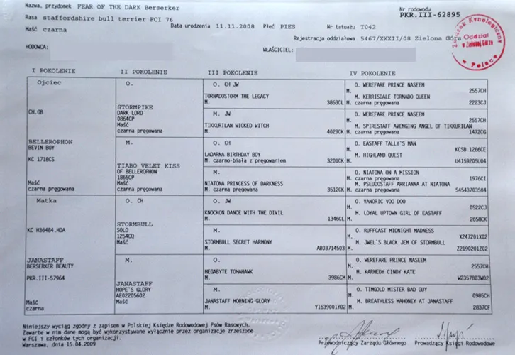 Zdjęcie Jak sprawdzić, czy hodowla jest FCI i uniknąć oszustw w hodowli psów