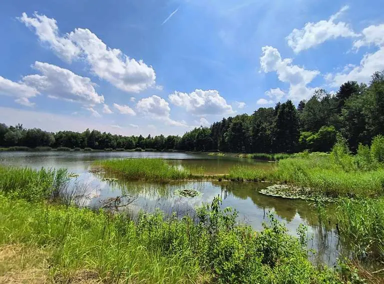 Zdjęcie Obwodowa trasa rowerowa Ruda Śląska - idealna dla każdego rowerzysty