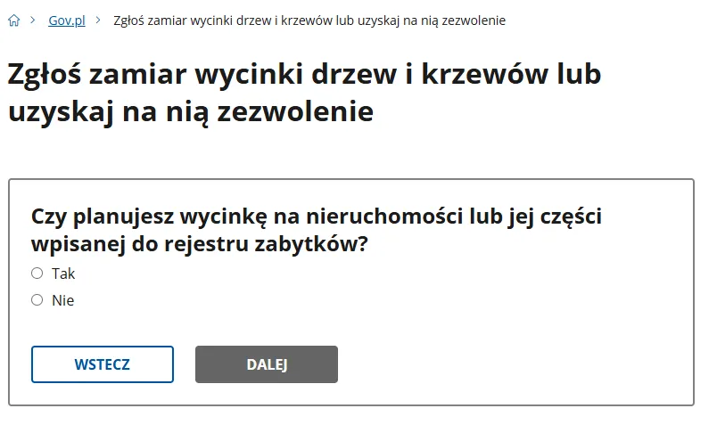 Zdjęcie Kto wydaje pozwolenie na wycinkę drzew i jak uniknąć problemów?