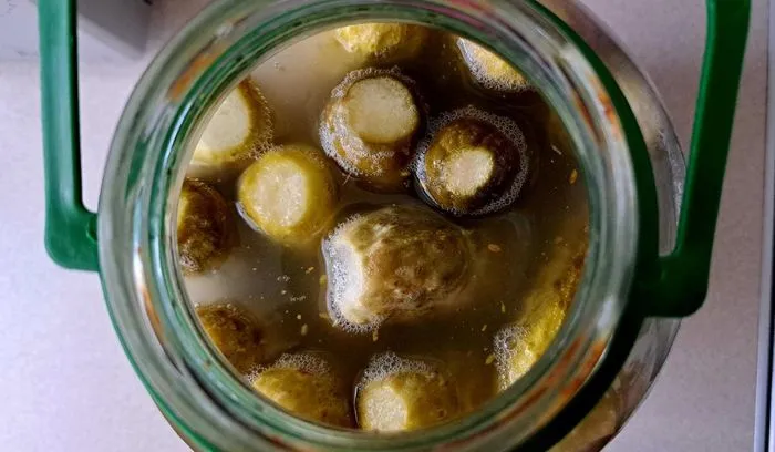 Zdjęcie Dlaczego woda w ogórkach kiszonych jest mętna? Oto prawda o fermentacji