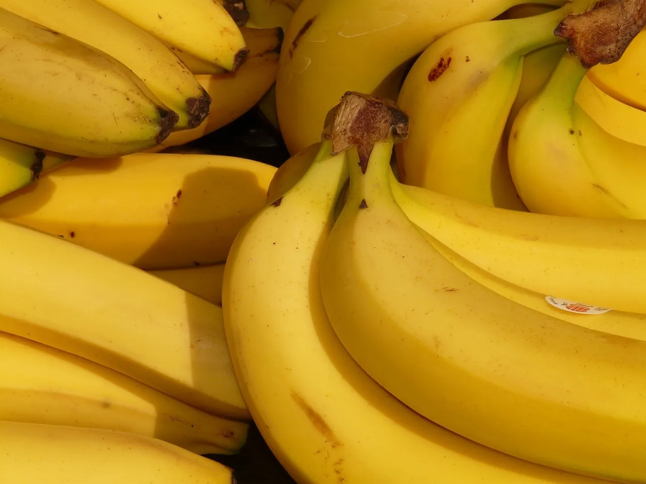 Zdjęcie W jakim kraju rosną banany? Odkryj największych producentów bananów