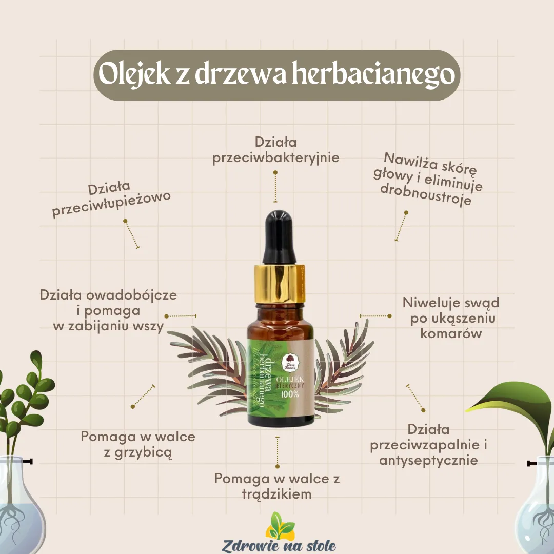 Zdjęcie Jak stosować olejek z drzewa herbacianego na grzybicę paznokci skutecznie?