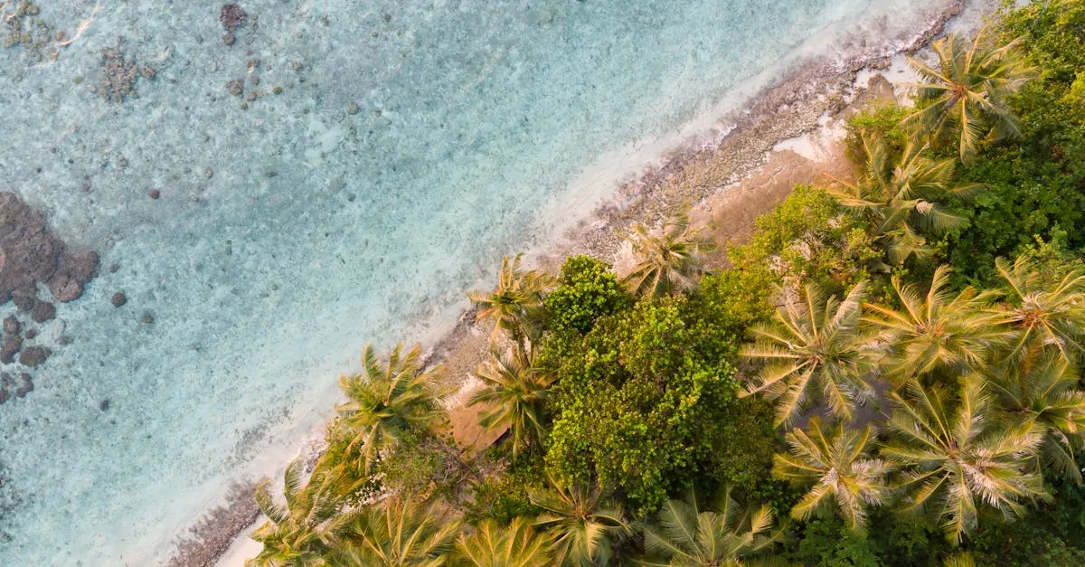 Zdjęcie Pogoda na Bali w sierpniu: Co warto wiedzieć przed wyjazdem