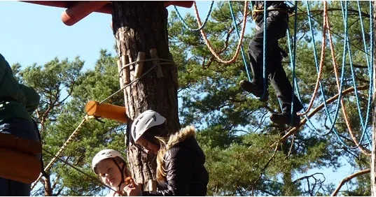 Zdjęcie Park linowy Kazimierz Dolny - emocjonujące trasy i niezapomniane wrażenia