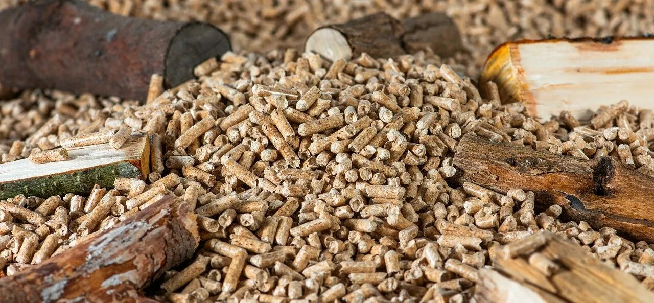 Zdjęcie Gdzie kupić pellet lubelskie? Sprawdź najlepsze oferty i ceny