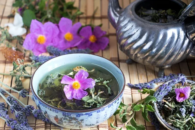 Zdjęcie Czystek skutki uboczne: Jak uniknąć niepożądanych efektów zdrowotnych