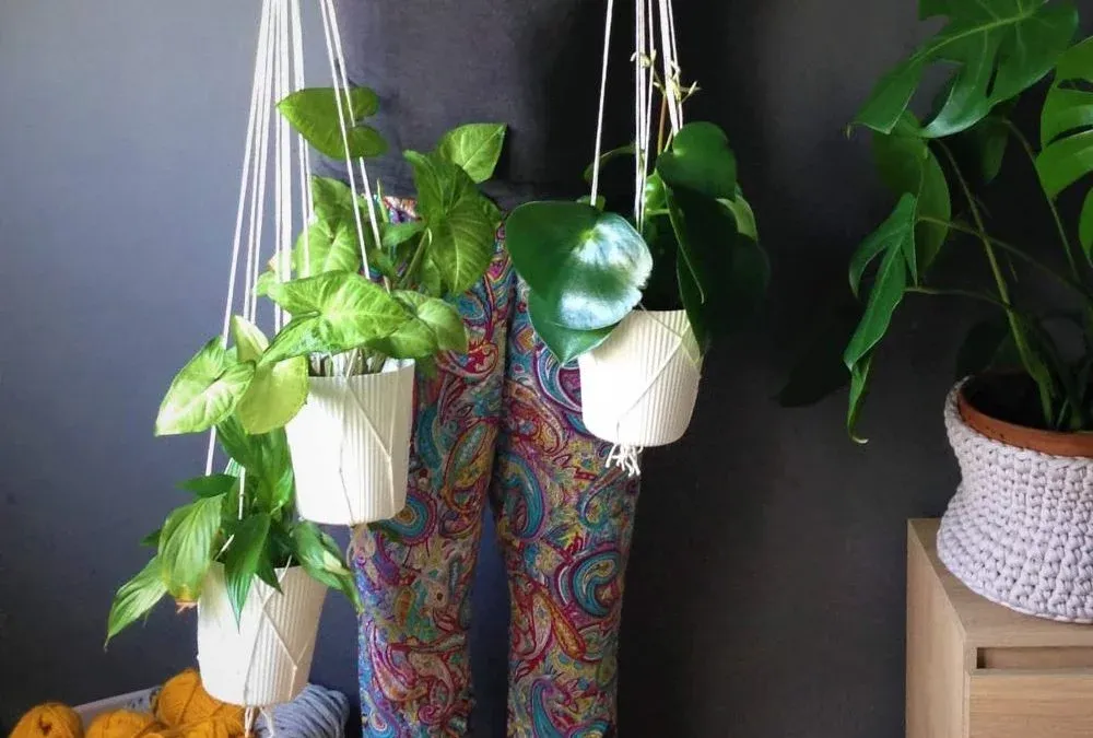 Zdjęcie Stwórz kwietnik ścienny DIY: poradnik krok po kroku