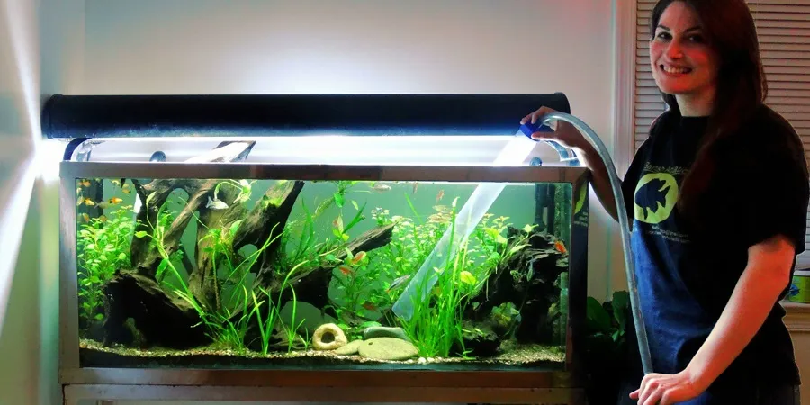 Zdjęcie Jak skutecznie używać odmulacza do akwarium i unikać błędów