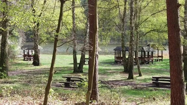 Zdjęcie Najlepsze miejsca na grilla nad jeziorem, które zachwycą Twoich gości