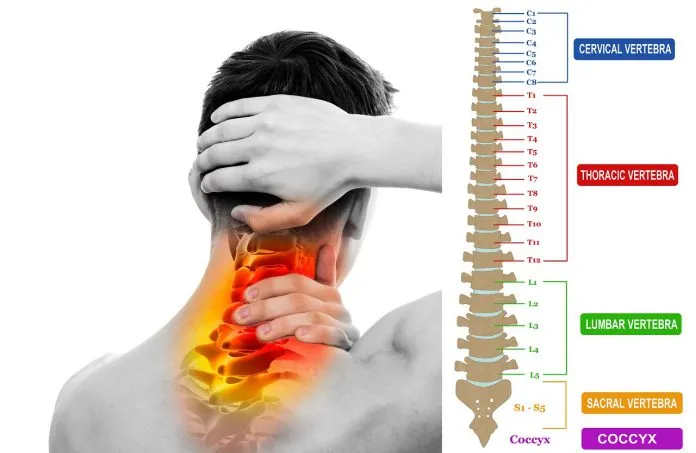 Zdjęcie Borelioza objawy neurologiczne: Co musisz wiedzieć o skutkach?