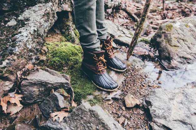 Zdjęcie Jakie buty w Karkonosze latem? Poradnik wyboru dla bezpieczeństwa