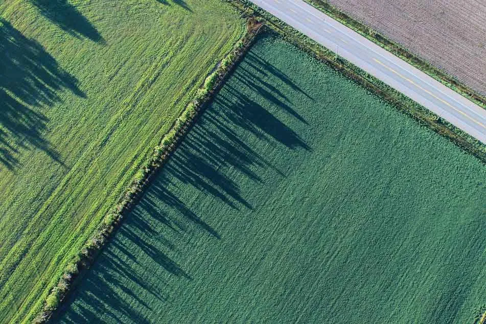 Zdjęcie Ile kosztuje podział działki? Sprawdź, co wpływa na ceny i koszty