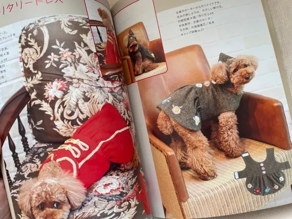 Zdjęcie Jak zrobić płaszcz przeciwdeszczowy dla psa - łatwe kroki i porady