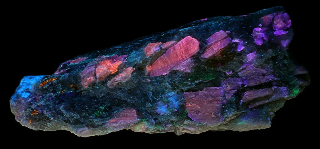 Zdjęcie Czym jest zjawisko fluorescencji - prosty przewodnik po tajnikach natury
