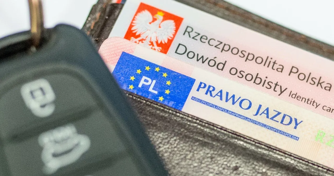 Zdjęcie Jakie prawo jazdy potrzebne do busa na bliźniakach w Polsce?