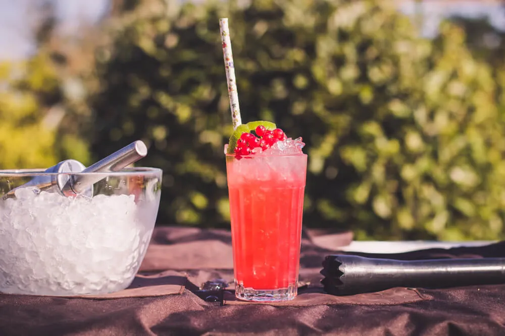 Zdjęcie Najlepsze drinki z wódki porzeczkowej, które musisz spróbować