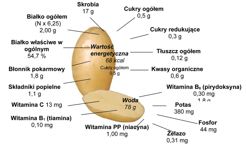 Zdjęcie Ile kcal mają ziemniaki gotowane? Zaskakujące wartości odżywcze i korzyści.