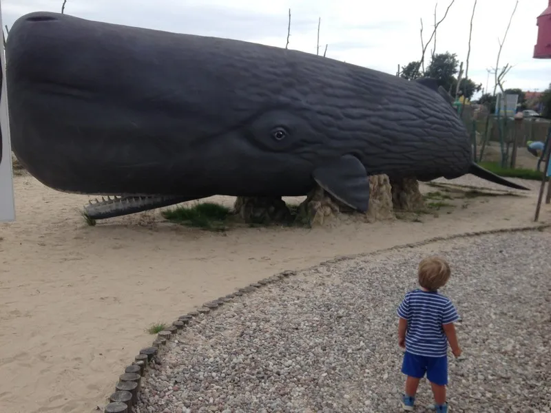 Zdjęcie Atrakcje dla dzieci i najlepsze miejsca do zabawy w Rewalu nad Bałtykiem