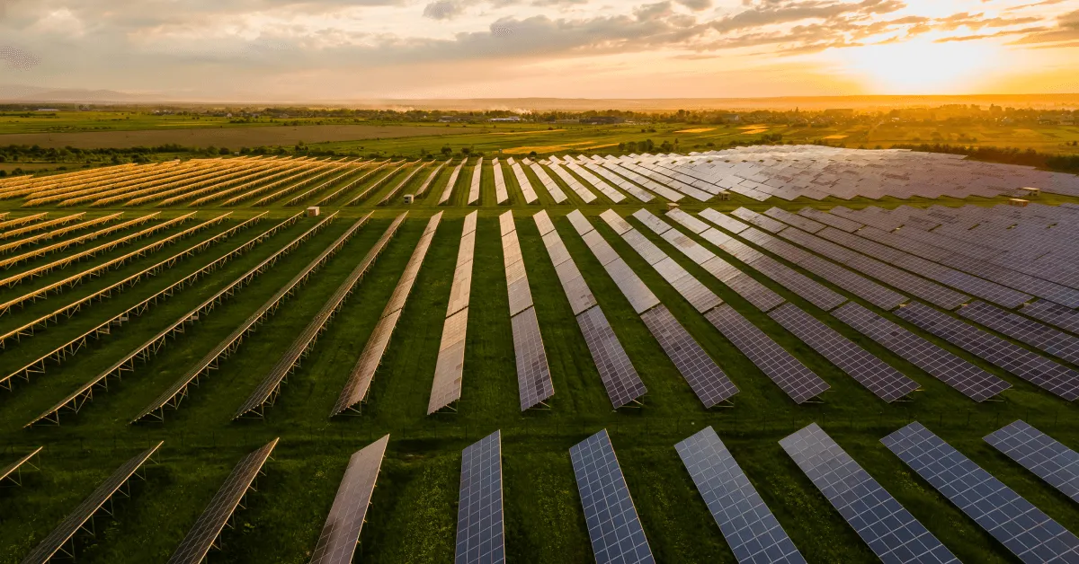 Zdjęcie Elektrownie słoneczne dla firm: oszczędzaj na energii i dbaj o środowisko