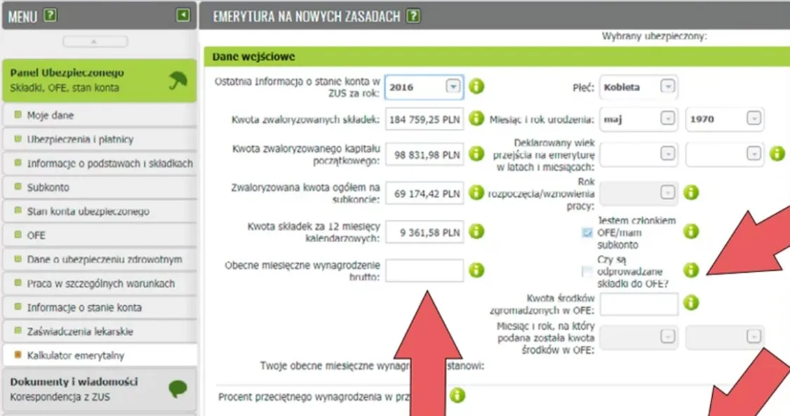 Zdjęcie Ile można zarobić na emeryturze? Przegląd stawek i możliwości dorabiania
