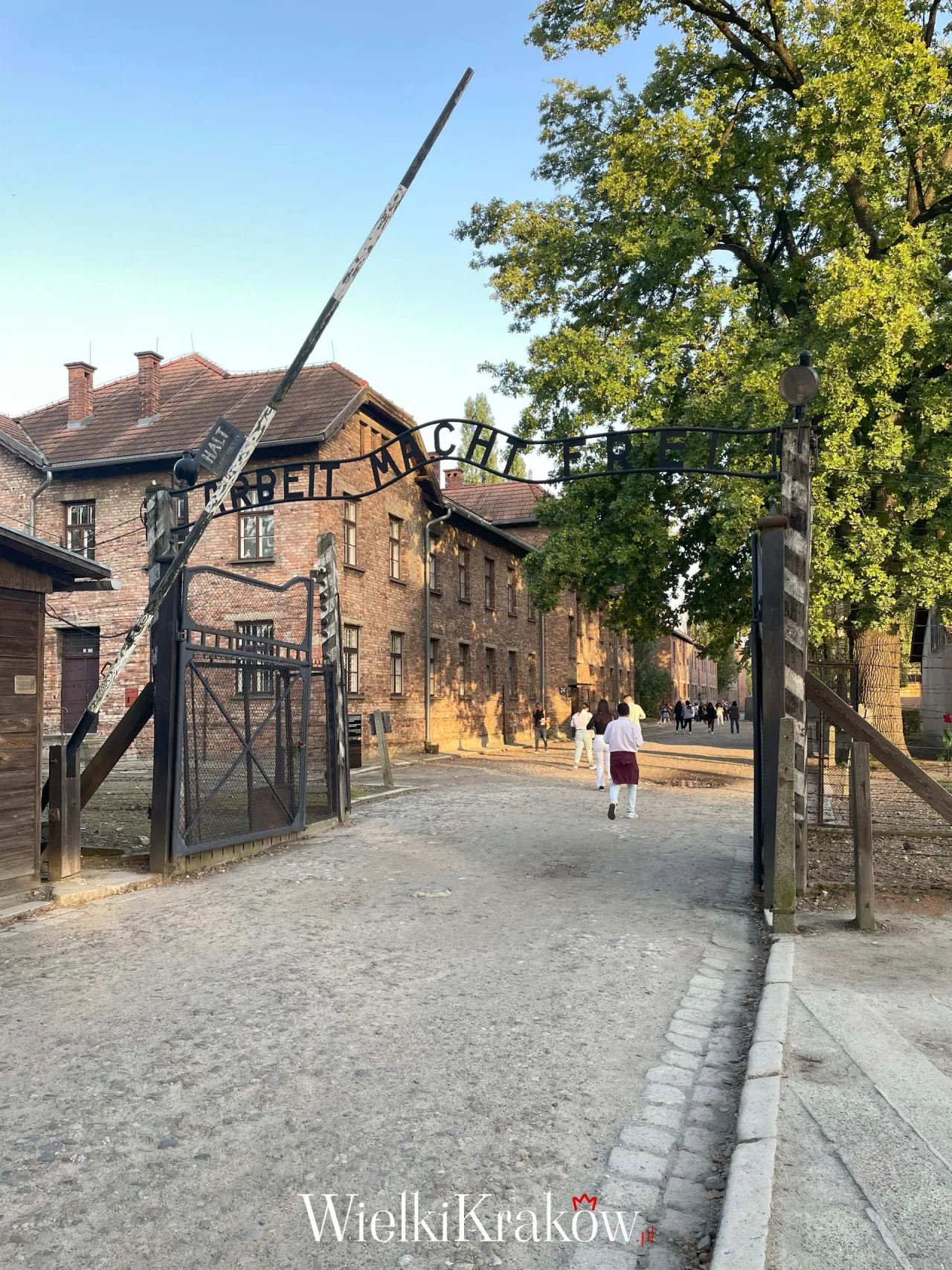 Zdjęcie Auschwitz: Czy można kupić bilety na miejscu? Sprawdź dostępność