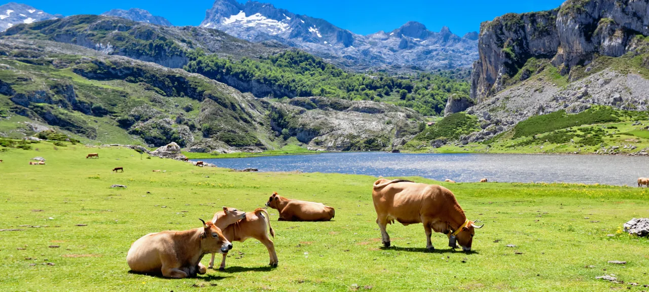 Zdjęcie Los lagos de Covadonga: maravillas naturales y secretos por explorar