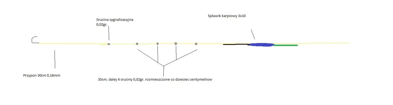 Zdjęcie Jaki spławik na płocie? Kluczowe wskazówki dla skutecznego łowienia