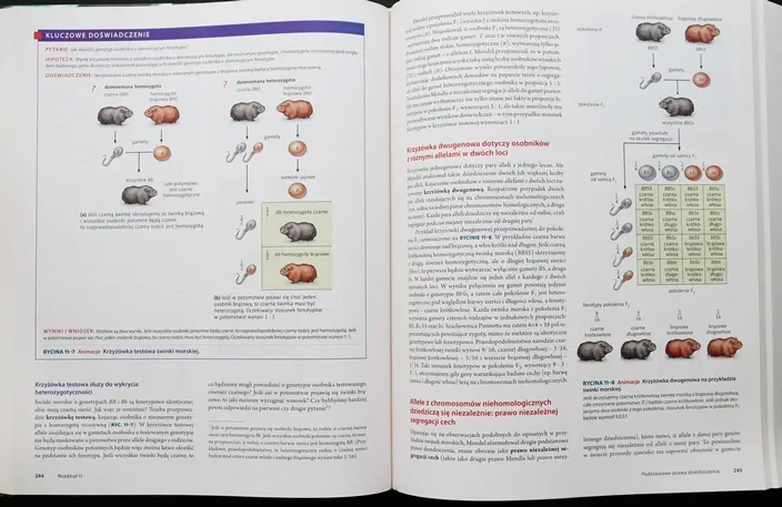 Zdjęcie Biologia Villego czy Campbella - który podręcznik naprawdę się sprawdzi?
