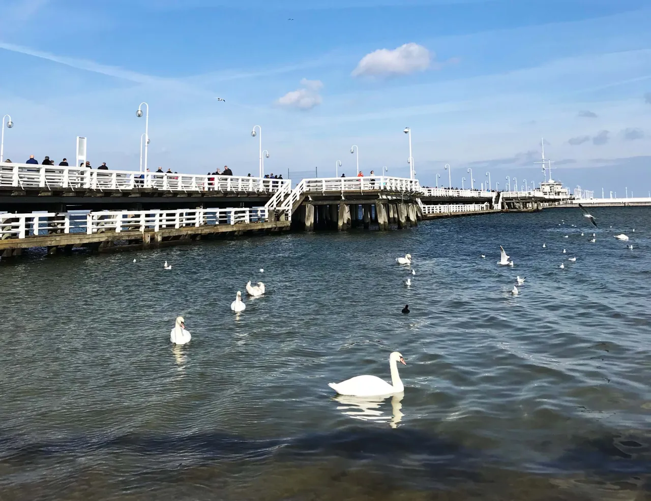 Zdjęcie Gdzie zjeść w Sopocie? Odkryj najlepsze restauracje i smaki