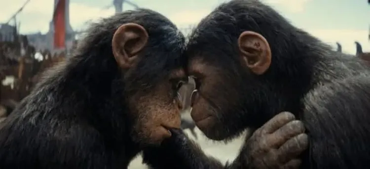 Zdjęcie Ile czasu film jest w kinie? Sprawdź, jak długo możesz oglądać!