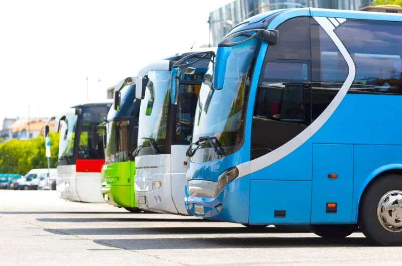 Zdjęcie Jak dojechać do Krynicy Morskiej autobusem - tanio i szybko z Warszawy