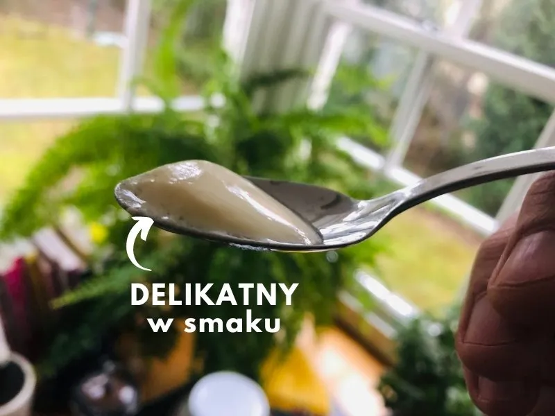 Zdjęcie Jak zrobić wegański jogurt w prosty sposób i cieszyć się zdrowiem