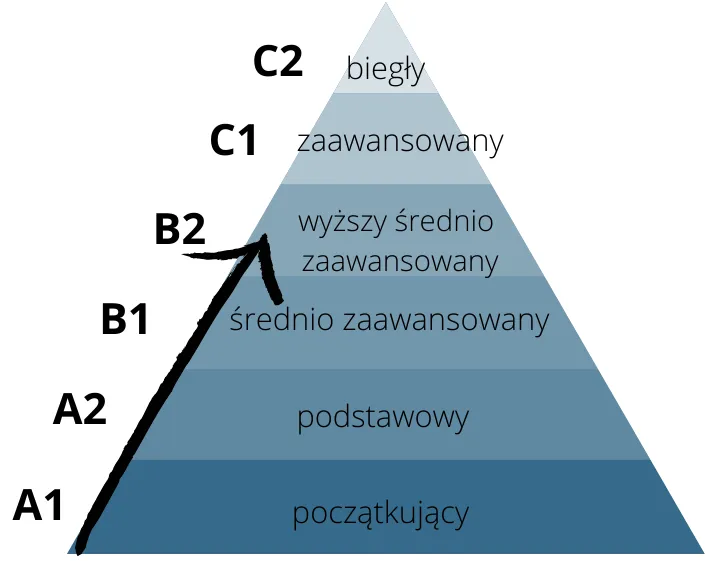 Zdjęcie Jaki poziom angielskiego jest na maturze? Różnice między B1 a B2