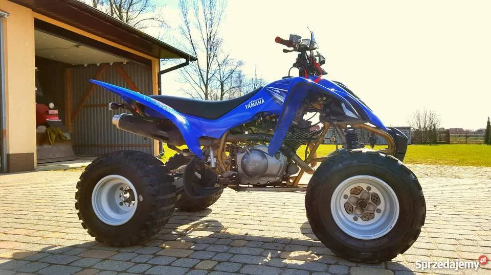 Zdjęcie Yamaha Raptor 350 ile ma koni? Moc i osiągi quada, które zaskakują
