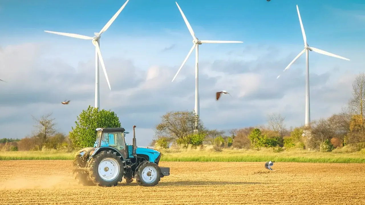 Zdjęcie Czy elektrownie wiatrowe są ekologiczne? Odkryj ich ciemne strony